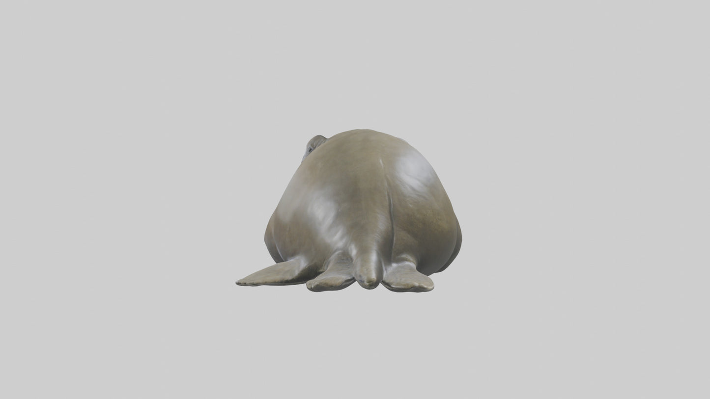 Elephant Seal statue model 3D model