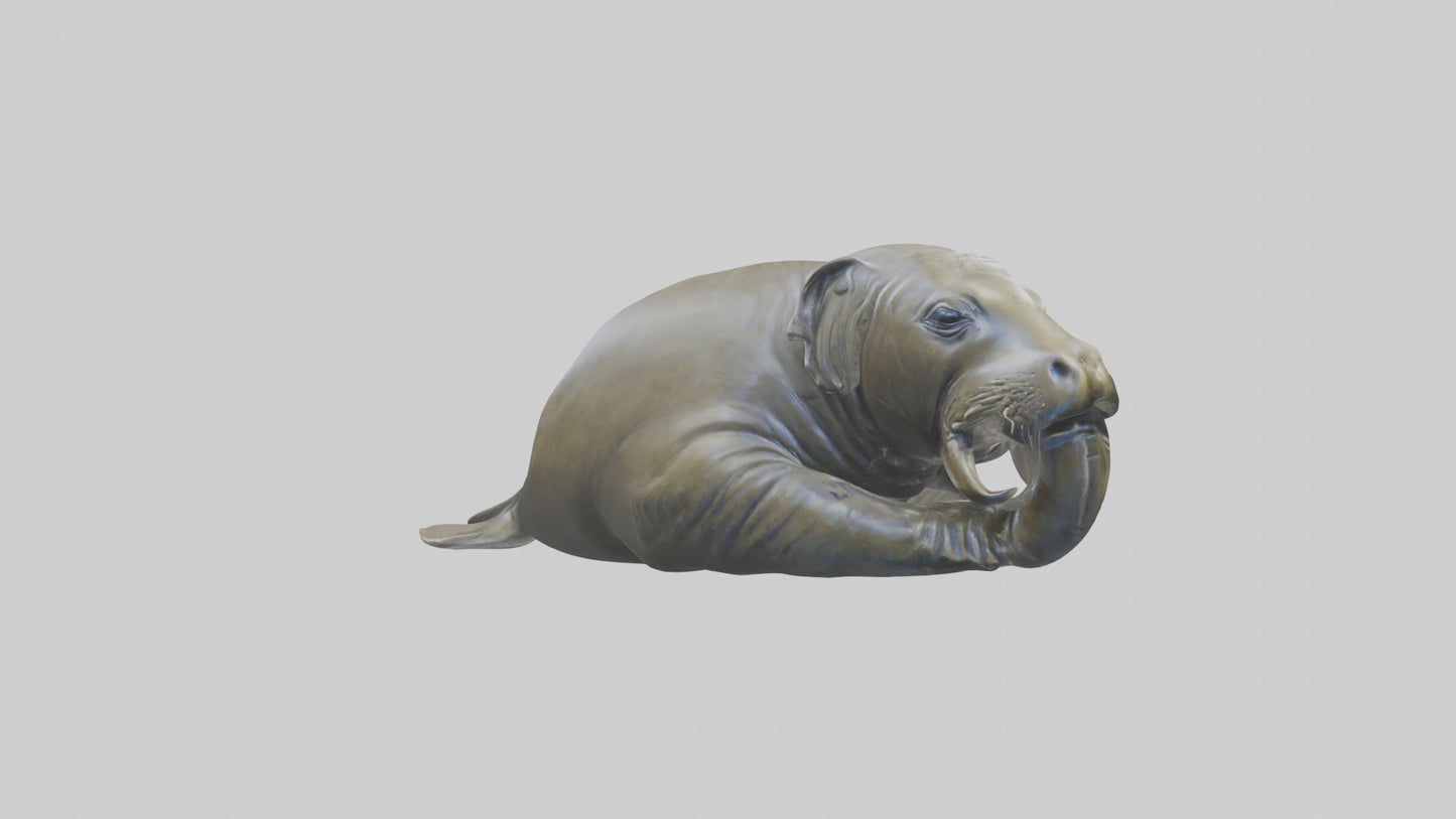 Elephant Seal statue model 3D model