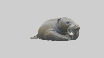 Elephant Seal statue model 3D model