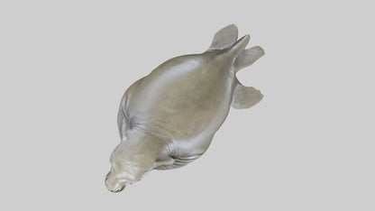 Elephant Seal statue model 3D model