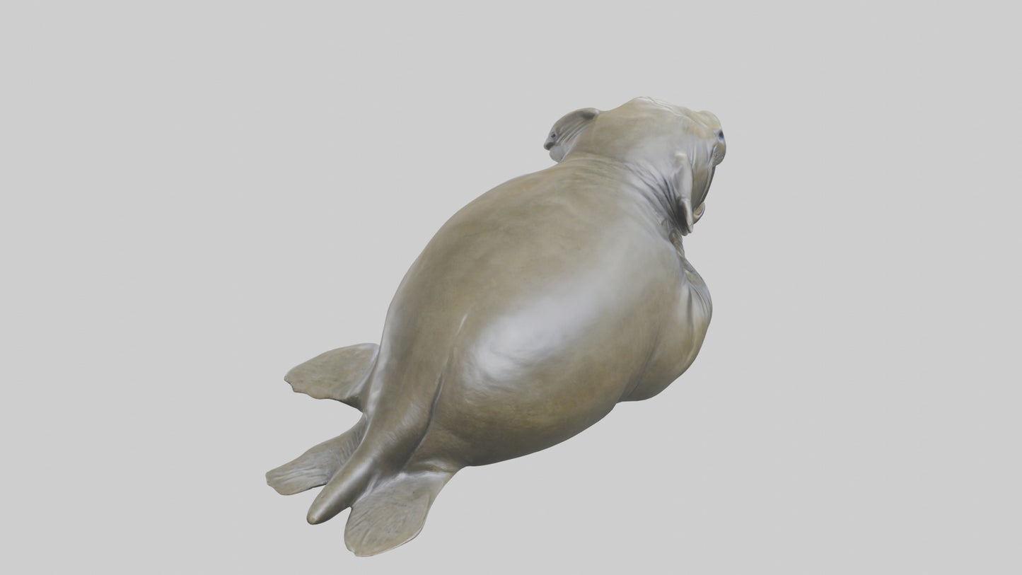 Elephant Seal statue model 3D model