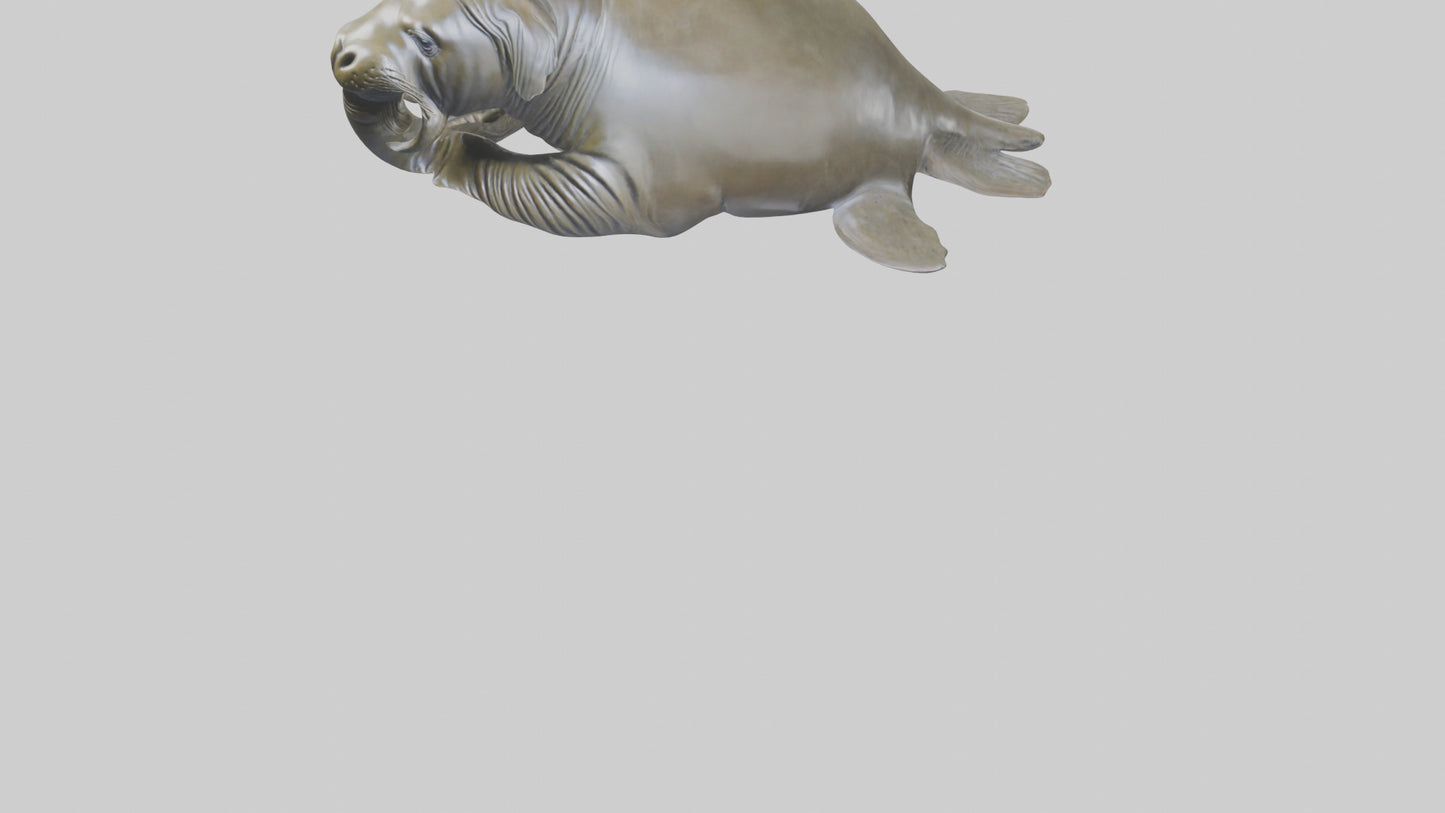 Elephant Seal statue model 3D model