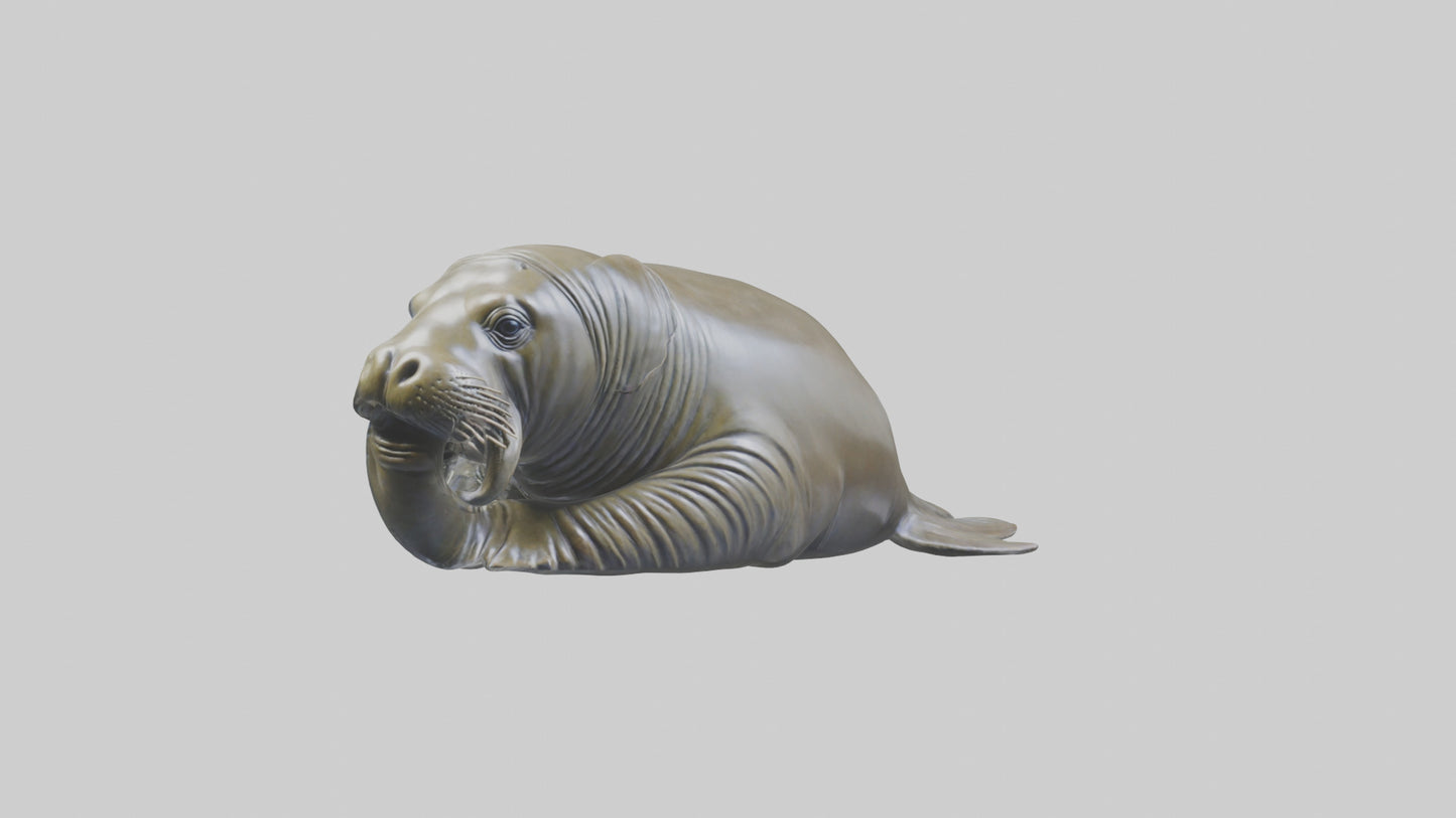Elephant Seal statue model 3D model