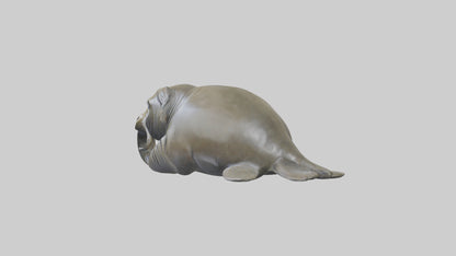 Elephant Seal statue model 3D model