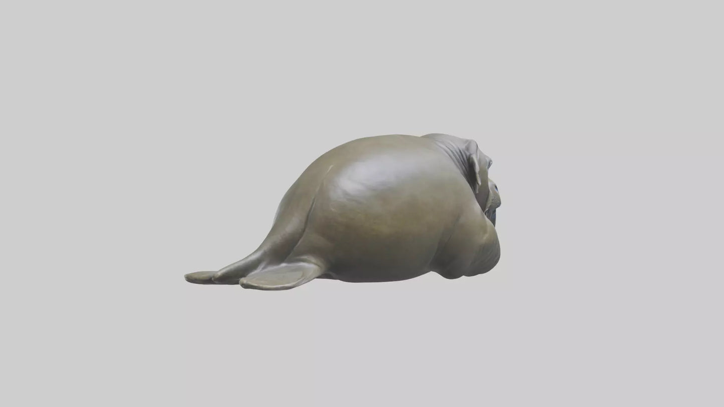 Elephant Seal statue model 3D model