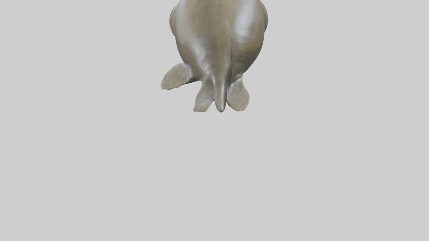 Elephant Seal statue model 3D model