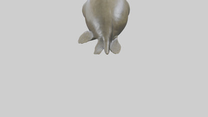 Elephant Seal statue model 3D model