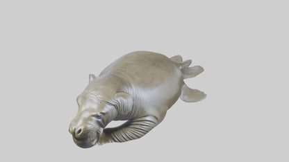 Elephant Seal statue model 3D model