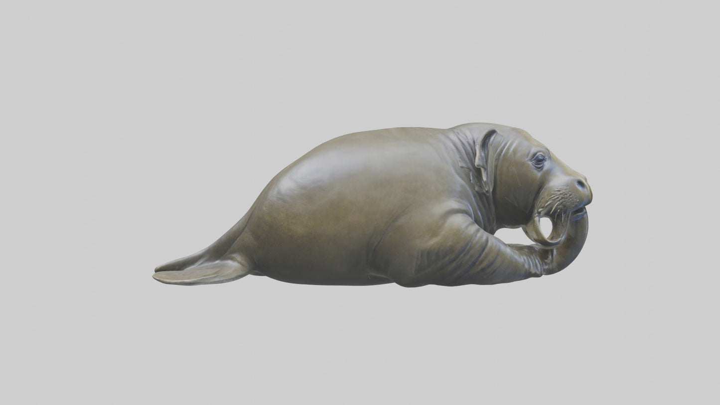 Elephant Seal statue model 3D model
