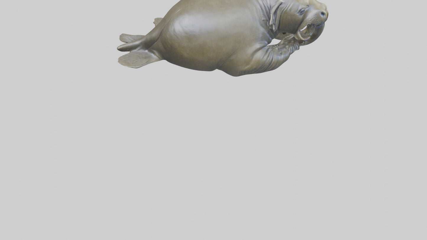Elephant Seal statue model 3D model