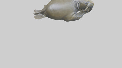 Elephant Seal statue model 3D model