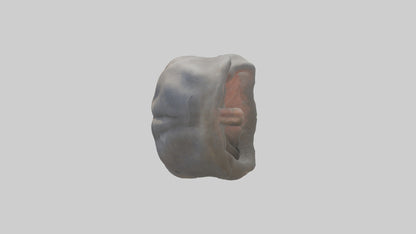 Elephant Stomach 3D model