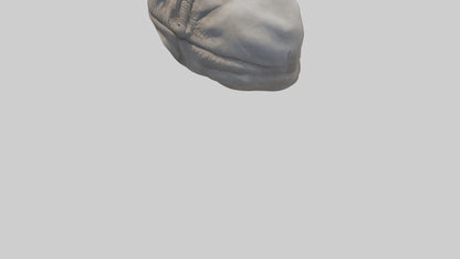 Elephant Stomach 3D model