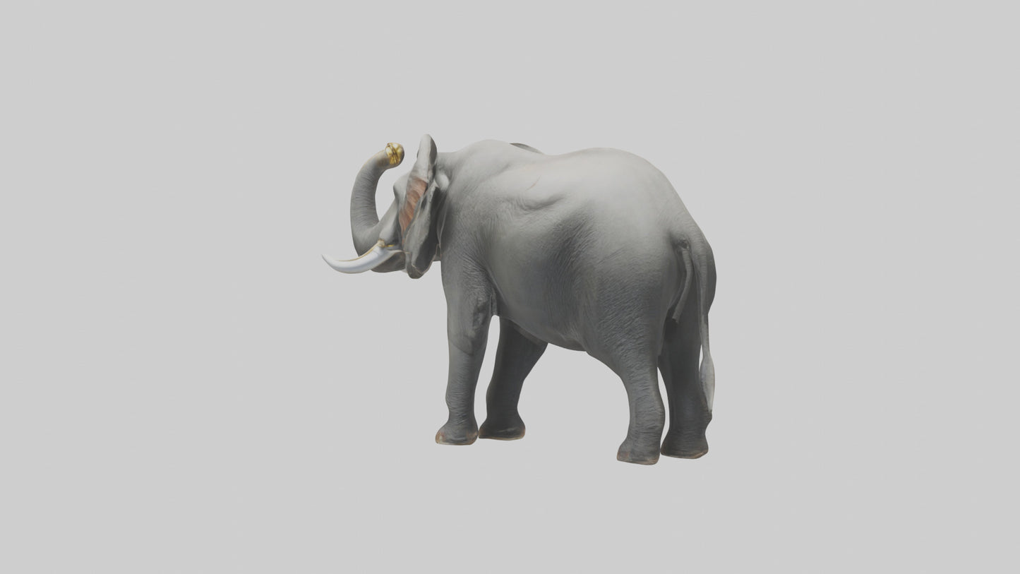 Elephant trumpeting model VR / AR / low-poly