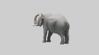 Elephant trumpeting model VR / AR / low-poly