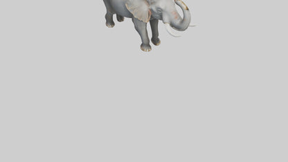 Elephant trumpeting model VR / AR / low-poly