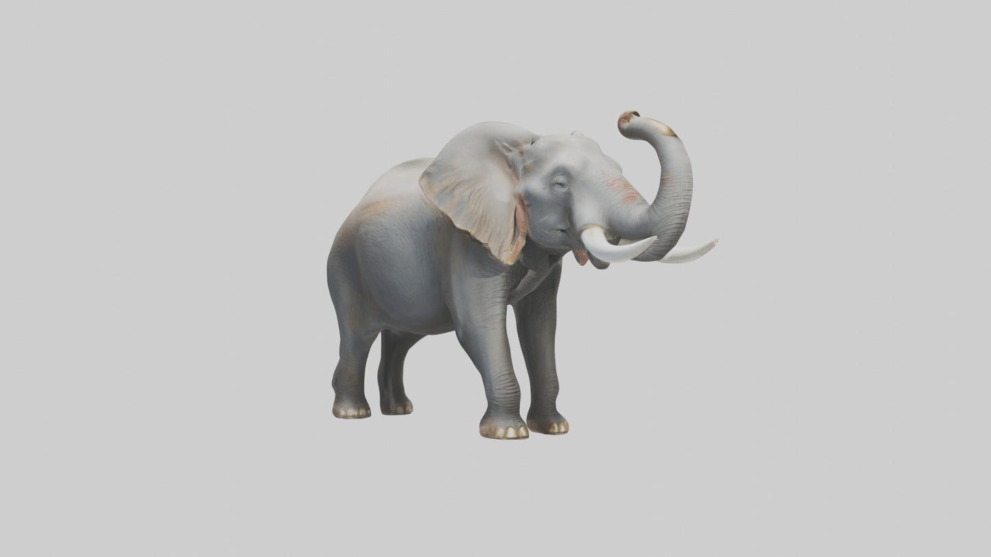 Elephant trumpeting model VR / AR / low-poly