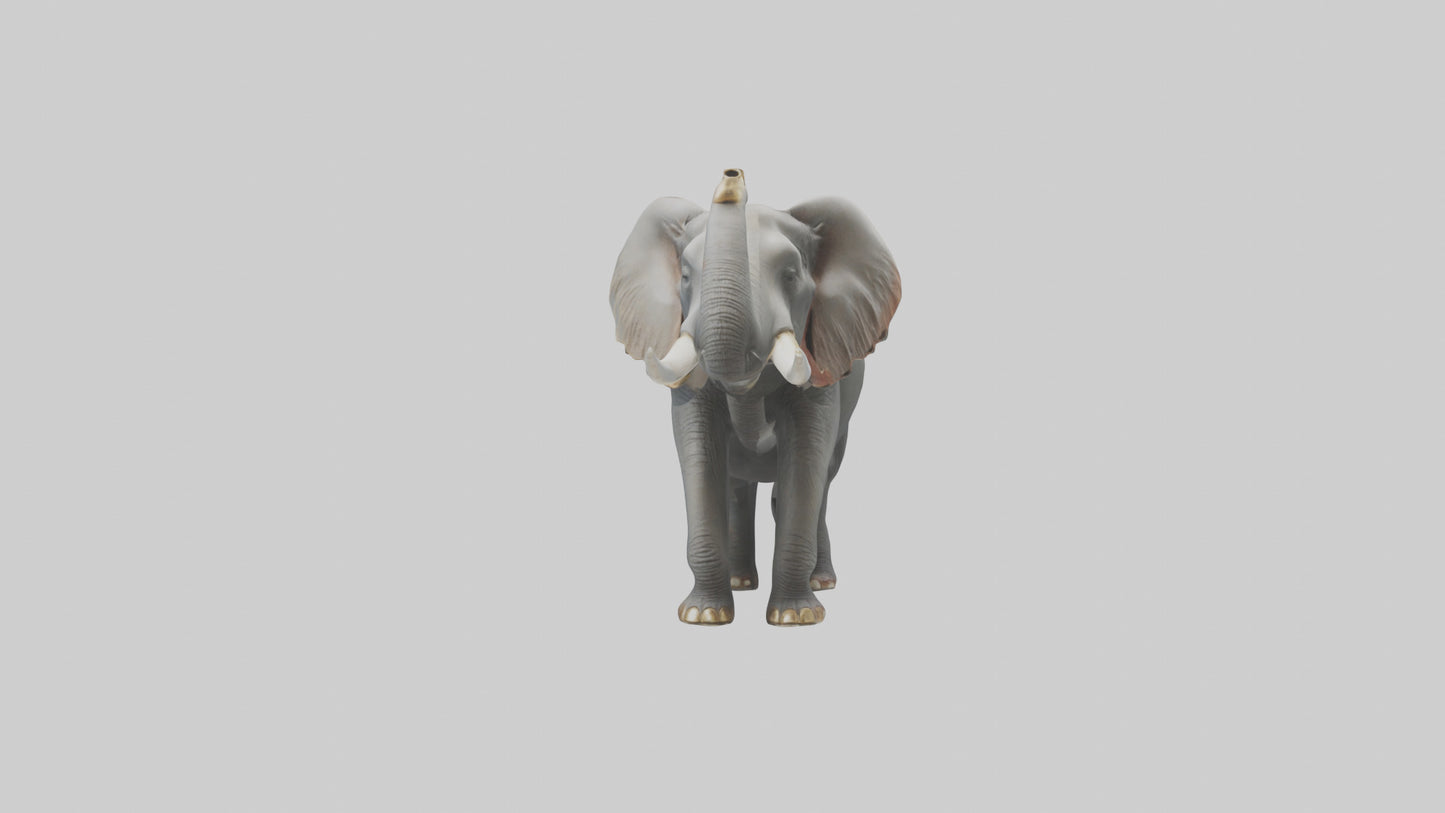 Elephant trumpeting model VR / AR / low-poly