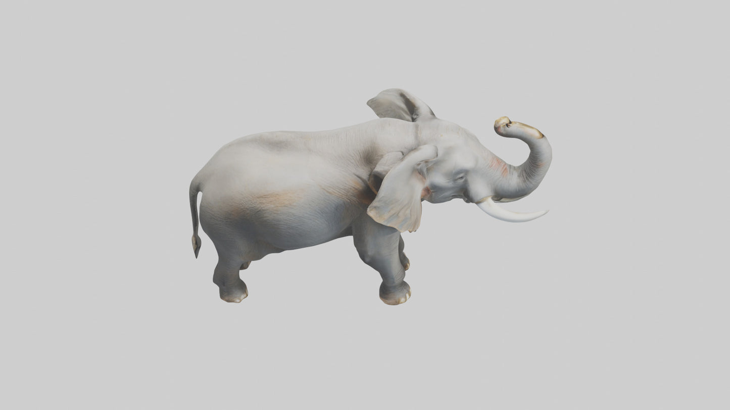 Elephant trumpeting model VR / AR / low-poly