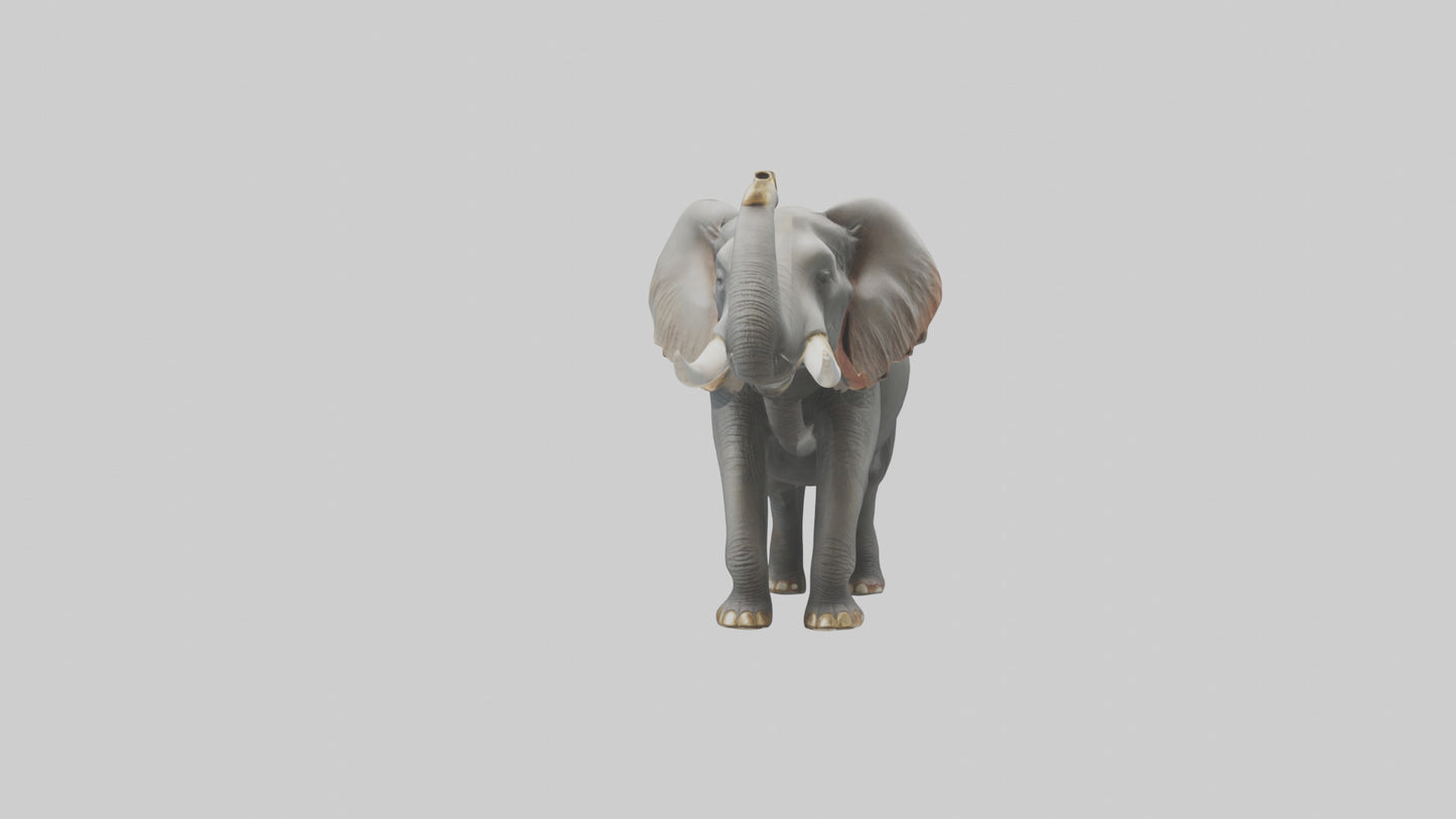 Elephant trumpeting model VR / AR / low-poly