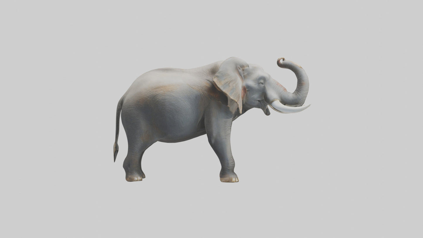 Elephant trumpeting model VR / AR / low-poly