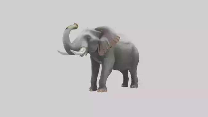 Elephant trumpeting model VR / AR / low-poly