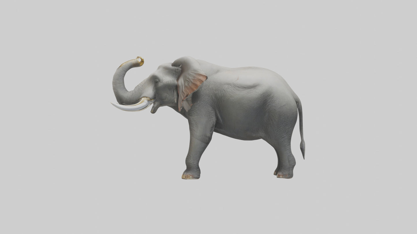 Elephant trumpeting model VR / AR / low-poly