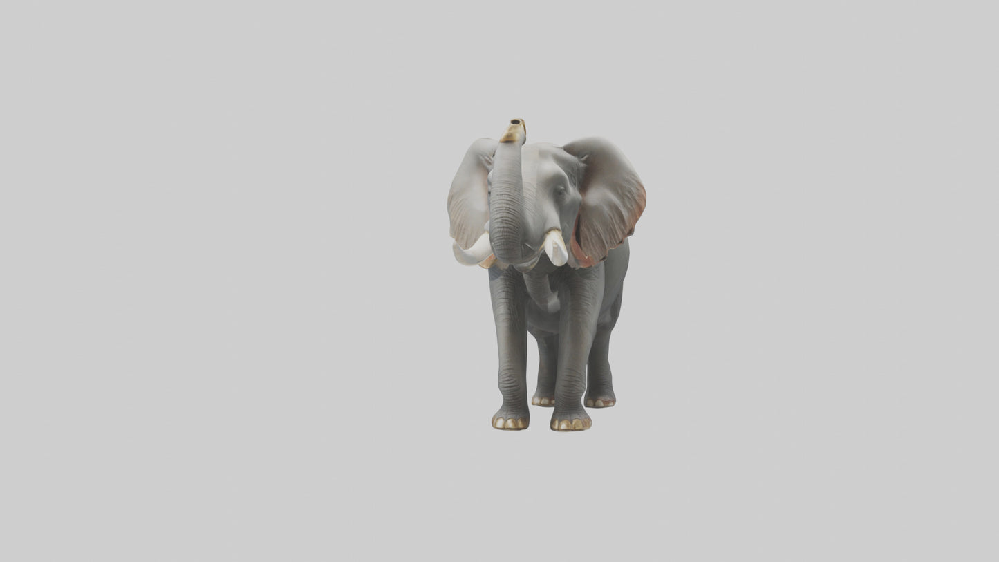 Elephant trumpeting model VR / AR / low-poly