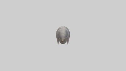 3D model Elephant Trunk VR / AR / low-poly