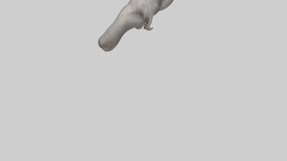 3D model Elephant Trunk VR / AR / low-poly