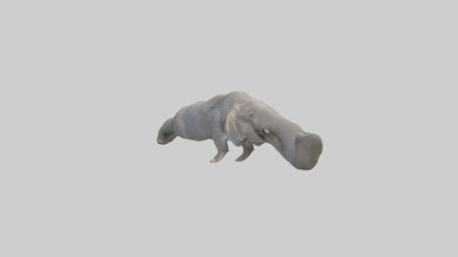3D model Elephant Trunk VR / AR / low-poly