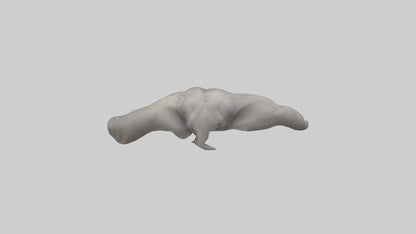 3D model Elephant Trunk VR / AR / low-poly