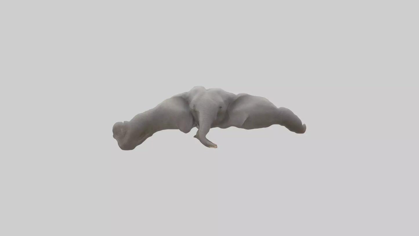 3D model Elephant Trunk VR / AR / low-poly