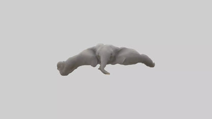 3D model Elephant Trunk VR / AR / low-poly