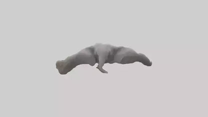 3D model Elephant Trunk VR / AR / low-poly