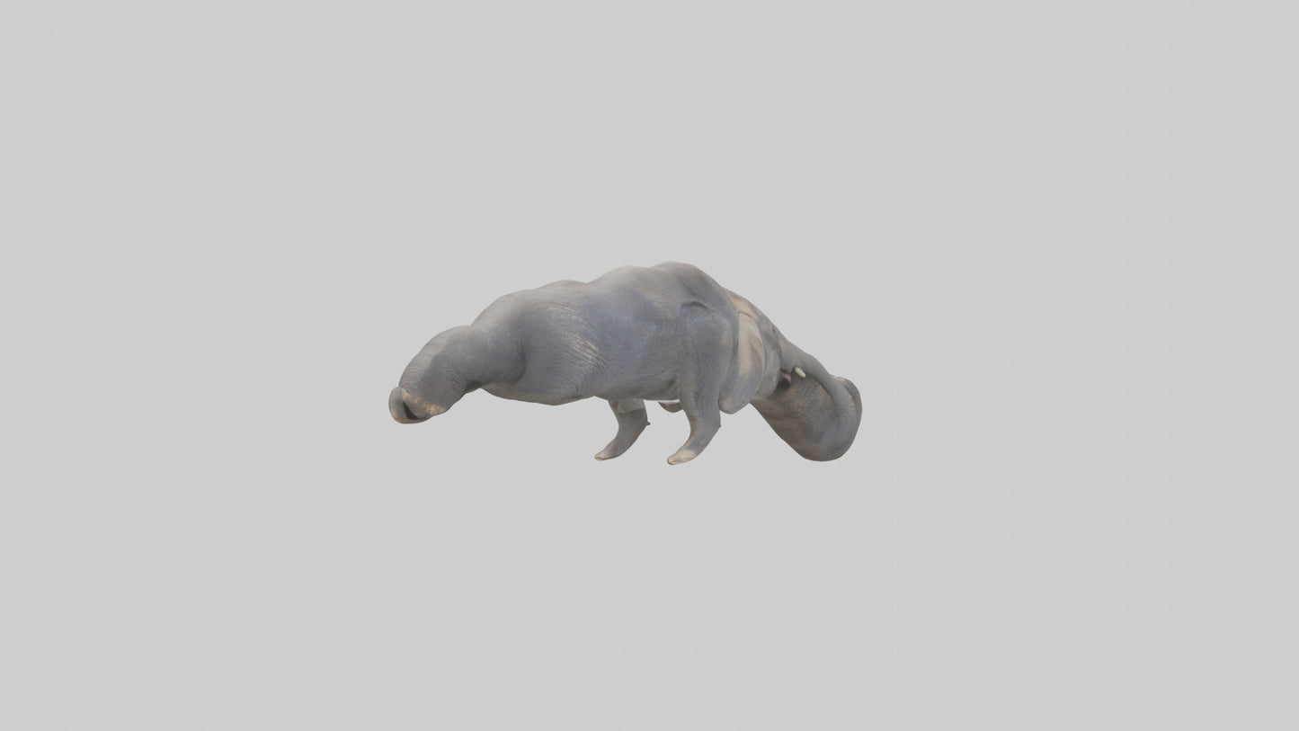 3D model Elephant Trunk VR / AR / low-poly