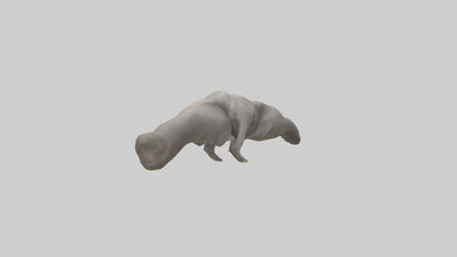 3D model Elephant Trunk VR / AR / low-poly