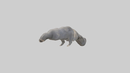 3D model Elephant Trunk VR / AR / low-poly