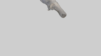 3D model Elephant Trunk VR / AR / low-poly