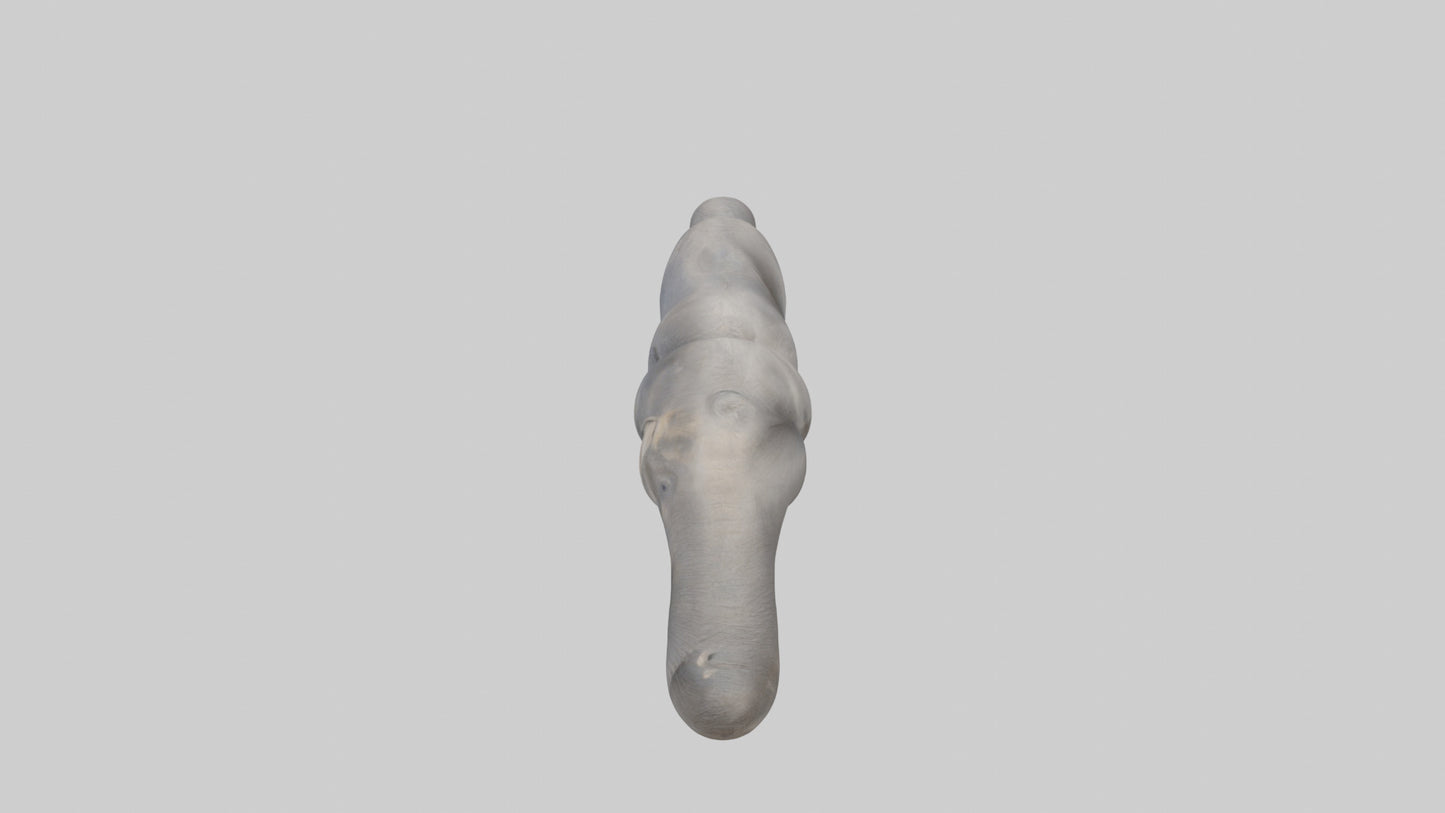 3D model Elephant Trunk VR / AR / low-poly