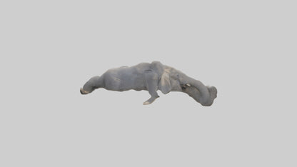 3D model Elephant Trunk VR / AR / low-poly