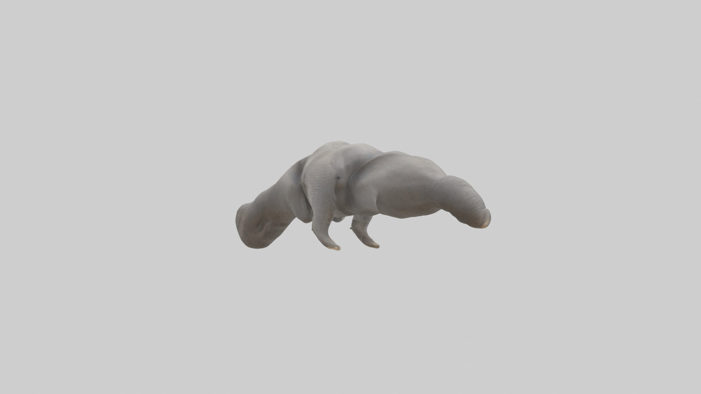 3D model Elephant Trunk VR / AR / low-poly