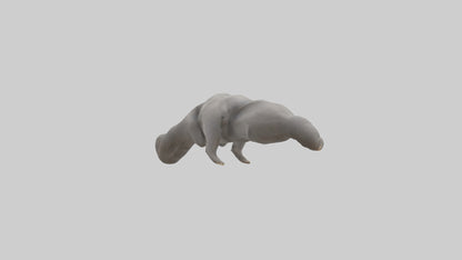 3D model Elephant Trunk VR / AR / low-poly