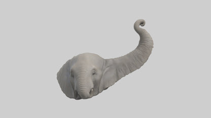 Elephant Trunk Model 3D model