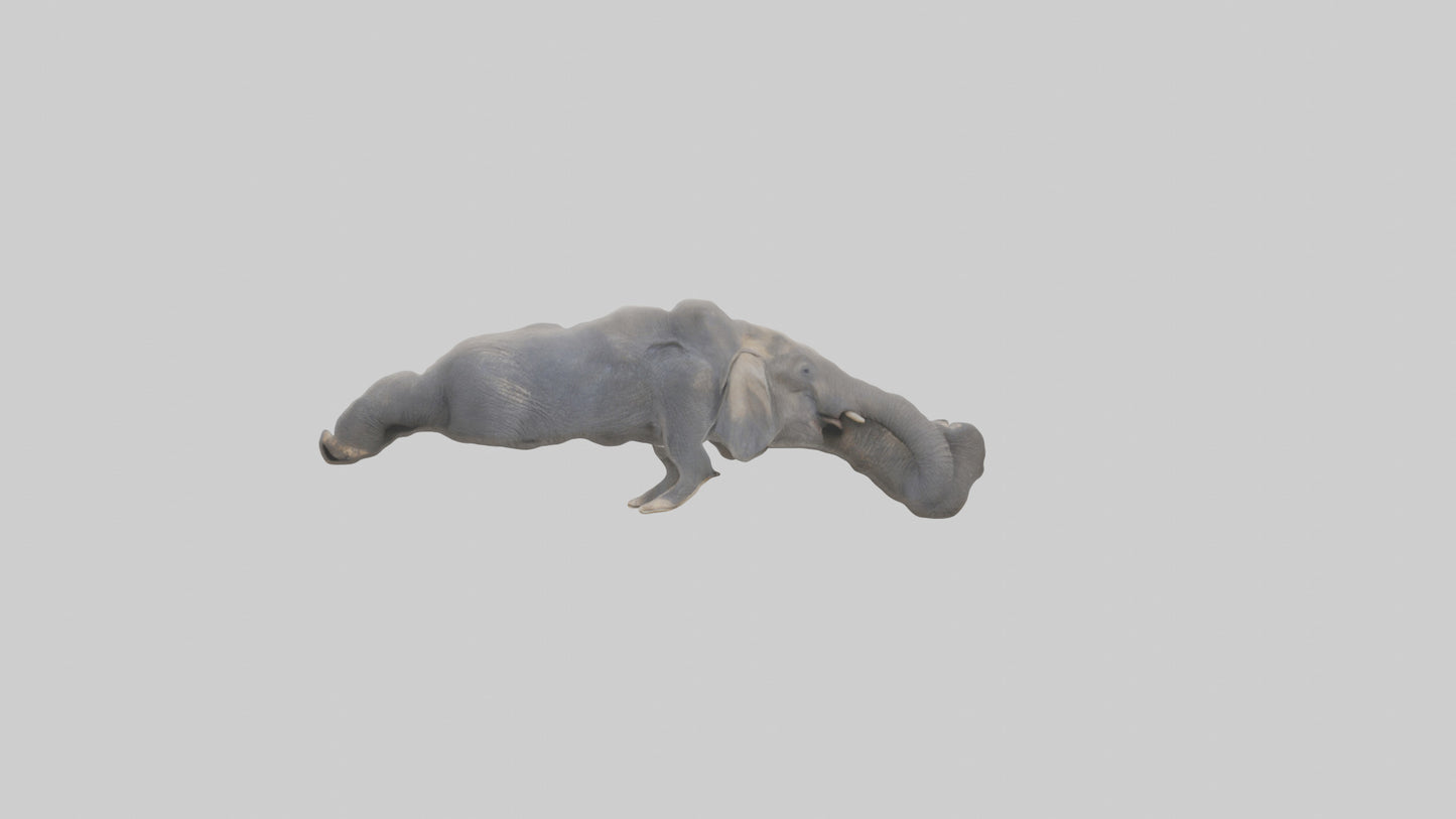 Elephant Trunk Model 3D model
