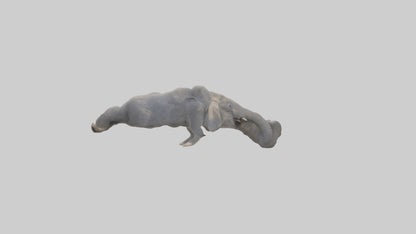 Elephant Trunk Model 3D model