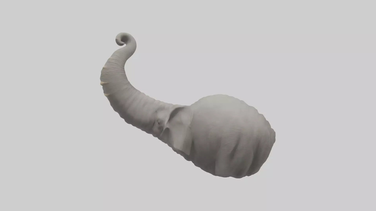 Elephant Trunk Model 3D model