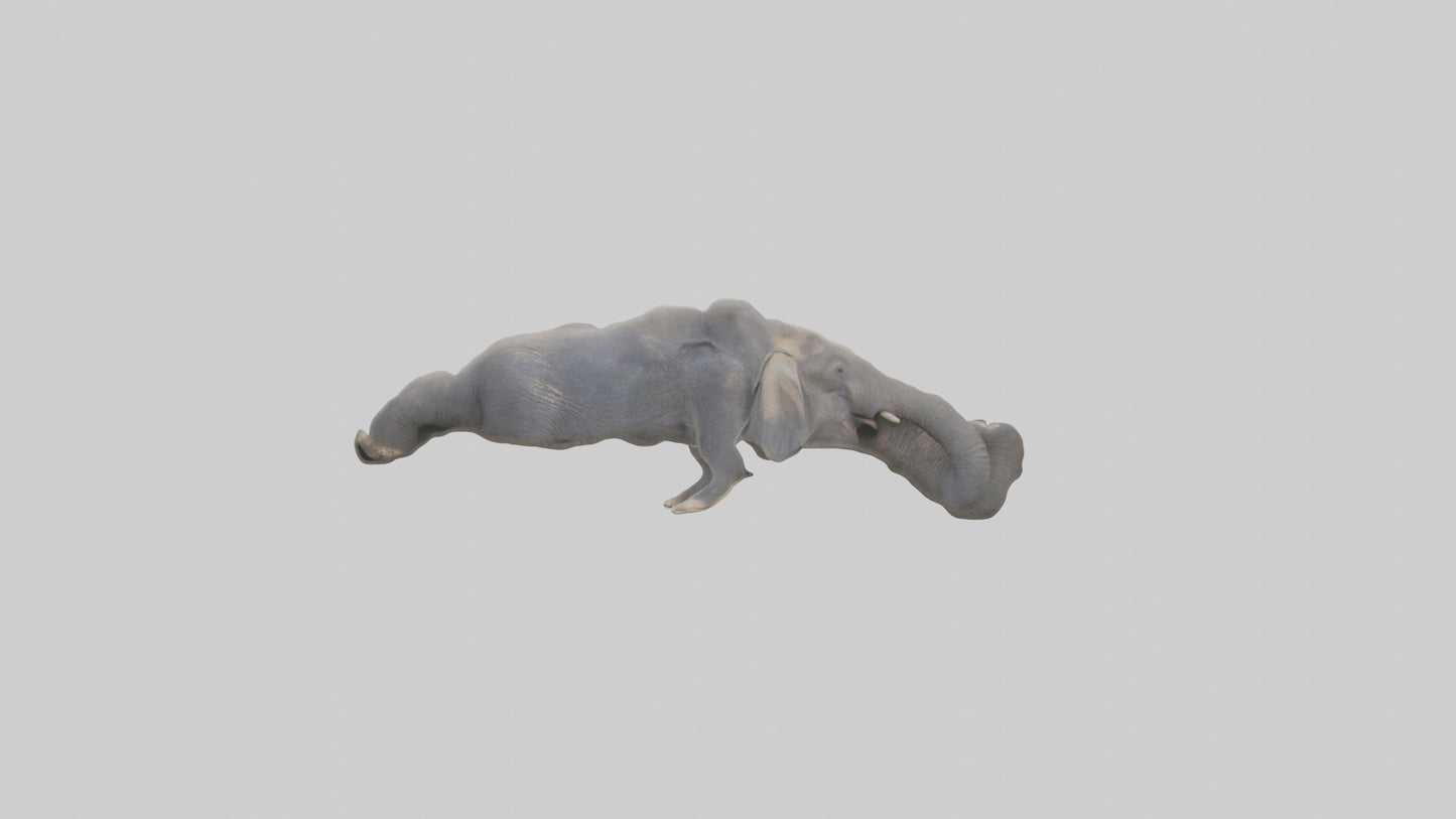 Elephant Trunk Model 3D model