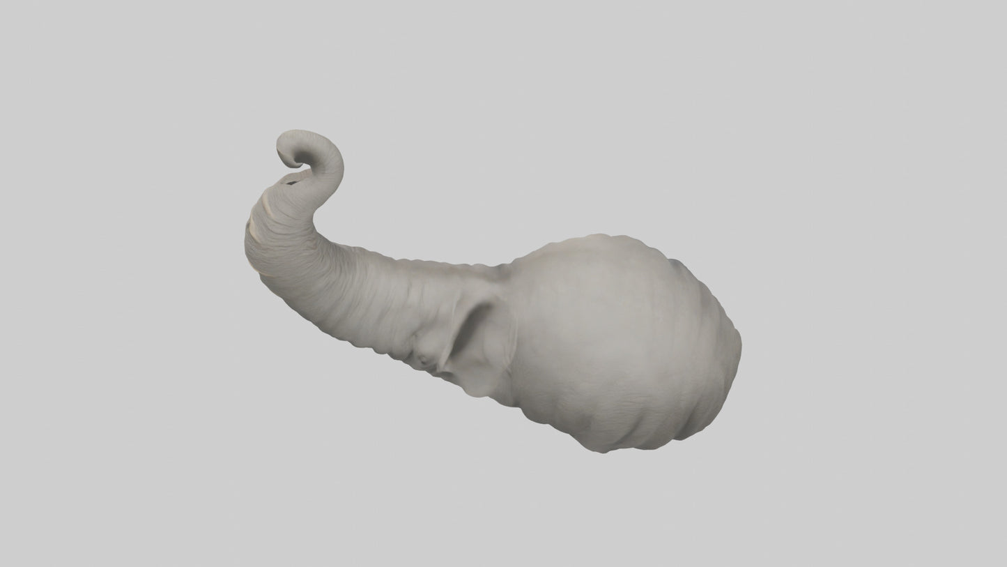 Elephant Trunk Model 3D model