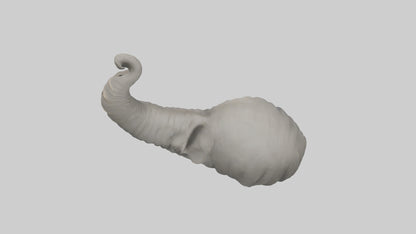 Elephant Trunk Model 3D model